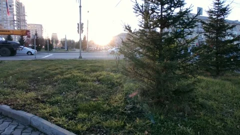 Road with a bright sun at the end of the path, at the golden hour Stock Footage 219992284