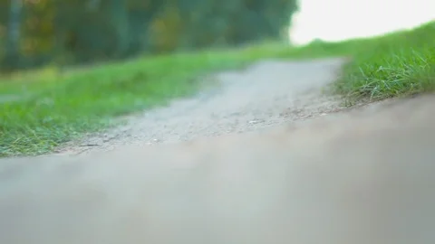 Road in the camera movement field Stock Footage 114000551