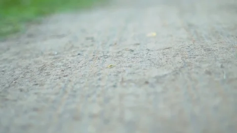 Road in the camera movement field Stock Footage 115566579