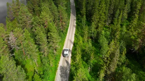 Off road camper van drive on forest gravel road Stock Footage 250404828