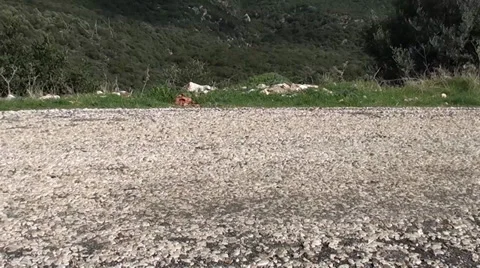 Road car passing Stock Footage 36351661