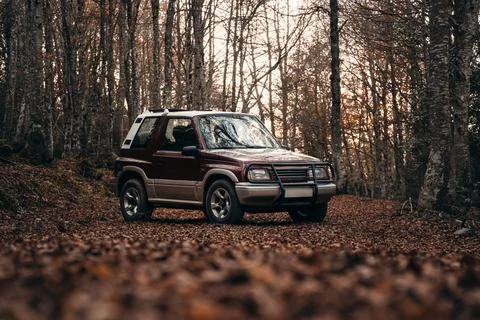 Off road car in a path inside the forest Stock Photos