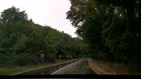 Road car rain trees Stock Footage 168866783