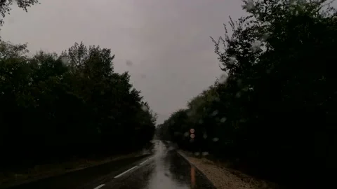 Road car rain trees Stock Footage 168866908