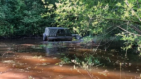 Off-road car in swamp Stock Footage 91939952