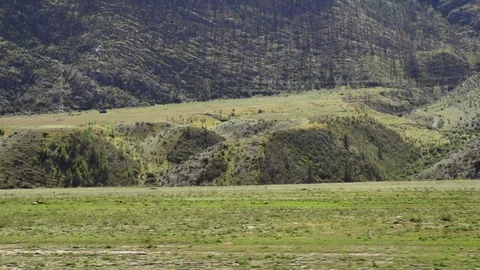 The road from the car window in the mountains Stock Footage 119834250