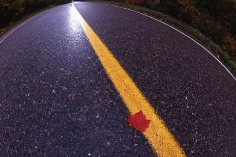 Road Of Change Foto stock