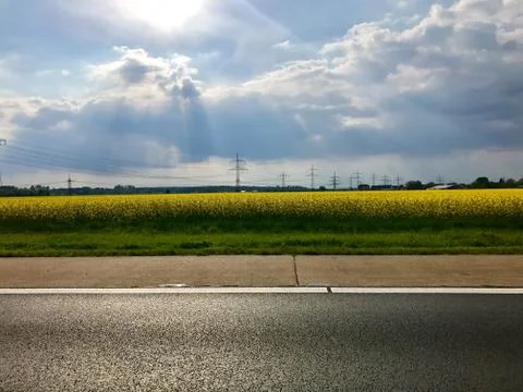 Road close to rapeseed field Stock Photos
