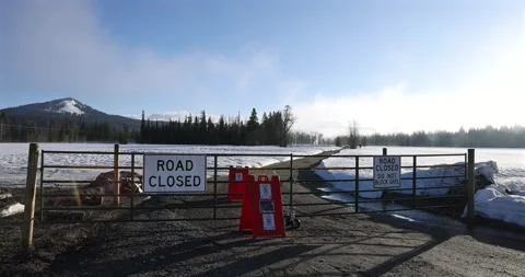 Road closed for bear/wildlife activity. Gate shut &amp; caution/warning/danger sign Stock-Footage 334630636