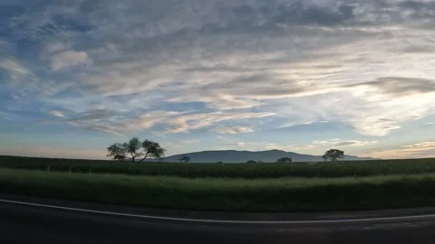 Road with clouds and trees 動画素材 220579707