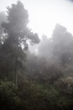 Road in the clouds in the mountains Stock Photos