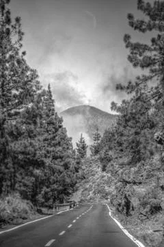 Road in the clouds in the mountains Stock Photos