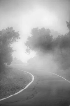 Road in the clouds in the mountains Stock Photos
