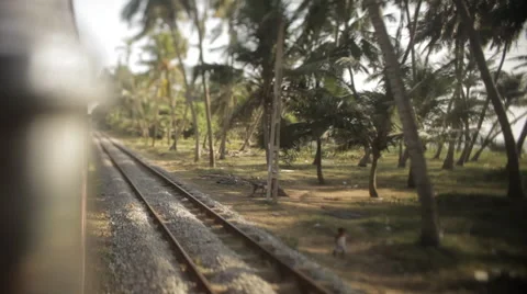 Road to Colombo Vidéo 41127948