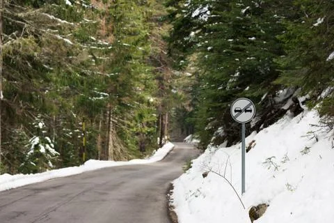 Road in the coniferous forest 写真素材