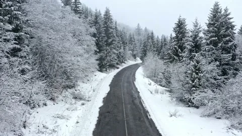 The road in the coniferous forest winter snow snowy swept snowstorm aerial video Stock Footage 148388013