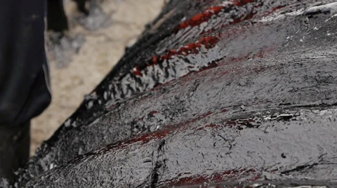 Road construction Stock Footage 31957221