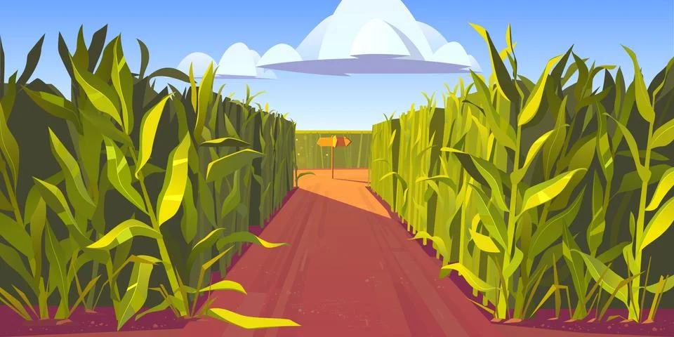 Road on cornfield with fork and direction sign 스톡 일러스트
