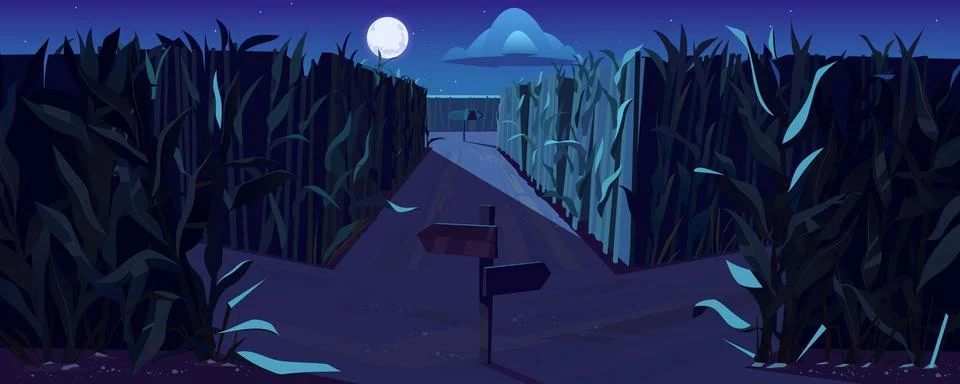 Road on cornfield with fork at night 스톡 일러스트