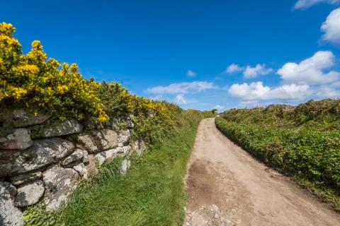 Road in Cornwall Stock Photos