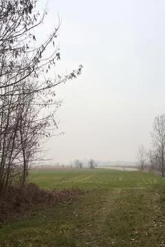 Road in the countryside between fields on a cloudy day seen from afar Stock Photos