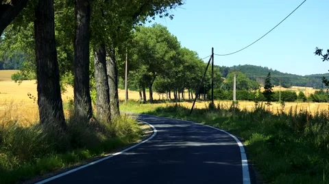 Road in the countryside between trees and fileds - sunny day Stock Footage