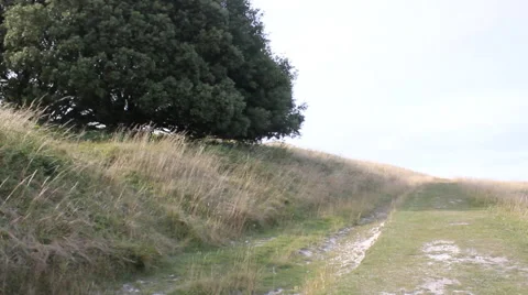 Road in countryside Stock Footage 46403343