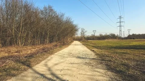 Road in the countryside Stock Footage 239275656