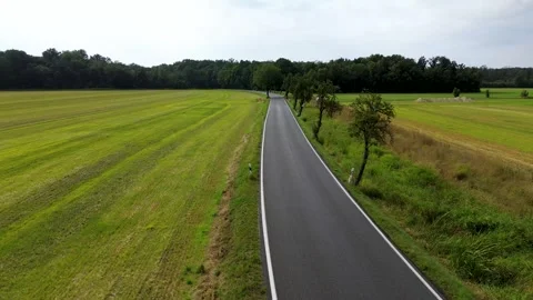 Road in the countryside with green fields Video stock 318463133