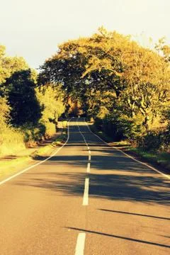 Road in the countryside Stock Photos