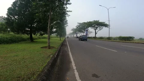 The road is covered in fog Stock Footage 229988384