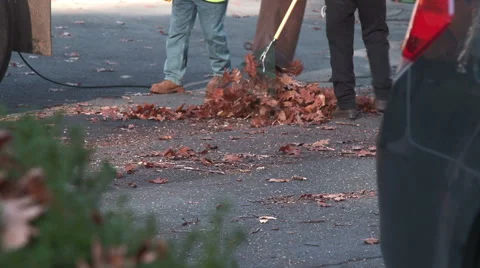 Road crew picking up leaves at curbside Stock Footage 44782223