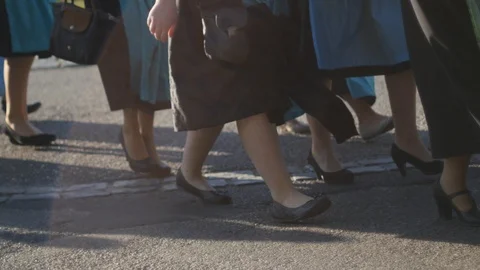 Road Crossing Stock Footage 88290543