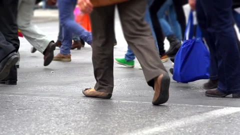 Road Crossing Video stock 210604395