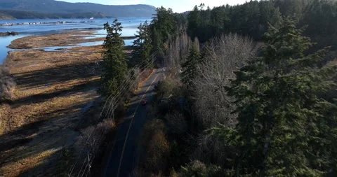 Road crossing to marsh and river, then to estuary Pt 1 of 2 - 5K Video stock 228342418