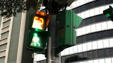 Road crossing traffic light countdown Video stock 122812830