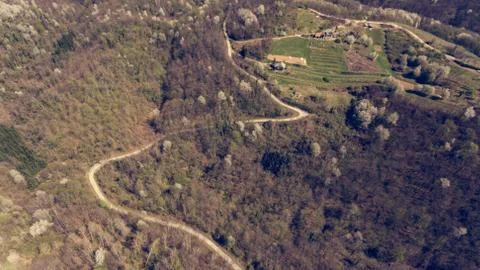 Road curing through spring forest Stock Photos