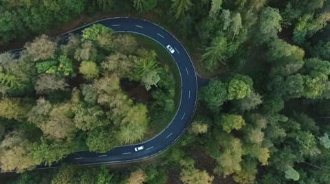 Road curve in the forest - aerial view Stock-Footage 68501595