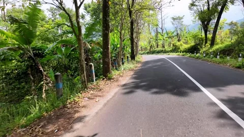 Road curves through dense greenery 스톡 동영상 345139488