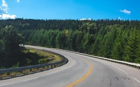 Road Curving Through Forrest Stock Photos