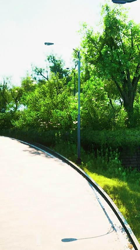 Road curving through green trees under bright sunlight Stock Footage 346753086
