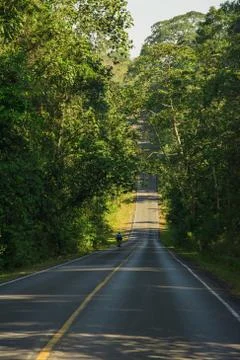 Road cut through the forest Stock Photos