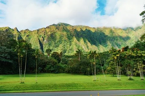 A road cuts through a park with distant mountains in the backdrop Stock Photos