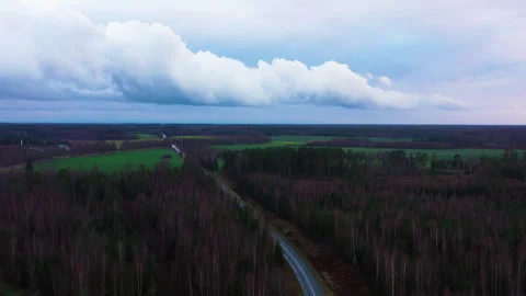 Road cutting through dense forest under dramatic cloudy skies during twilight Stock Footage 299809965