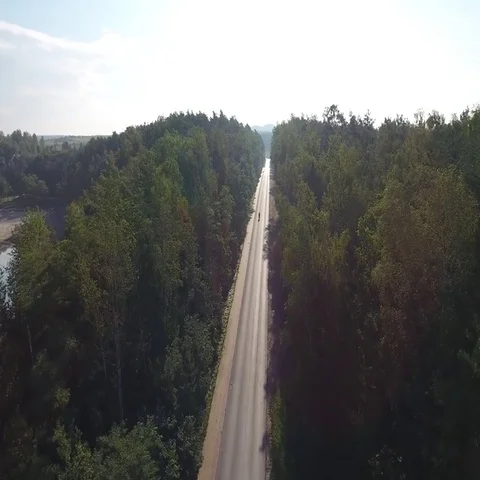 Road cutting through a forest Stock Footage 69561488