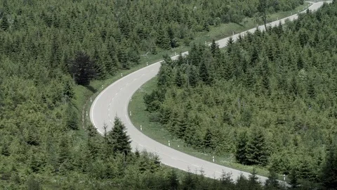 Road cutting through low forest undergrowth backdrop Stock Footage 76602559