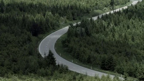 Road cutting through low forest undergrowth backdrop Stock Footage 76603556