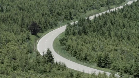 Road cutting through low forest undergrowth backdrop Stock Footage 76604178