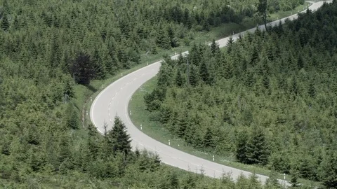 Road cutting through low forest undergrowth backdrop Stock Footage 76604409