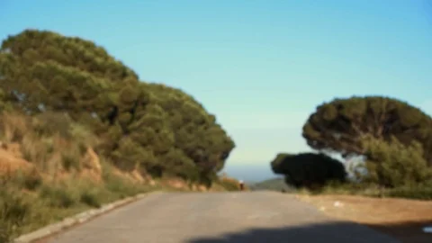 Road cycle training Stock Footage 79037202